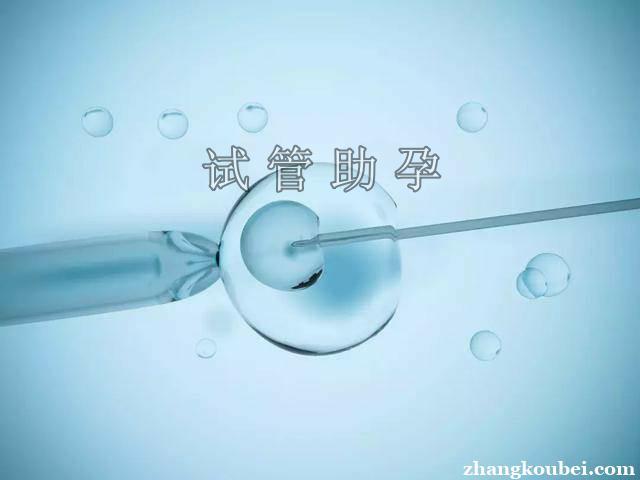 中国可以借卵试管婴儿(中国试管婴儿:借卵新选择)