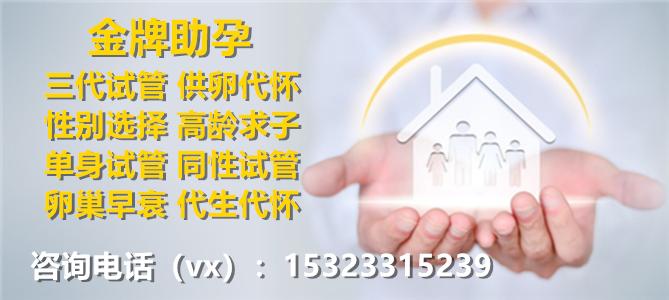 供卵试管代怀的女人_供卵试管代怀:女性力量的故事