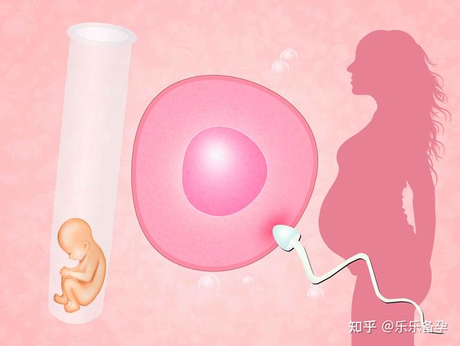 做供卵试管到底好不好【做供卵试管：好还是不好？】